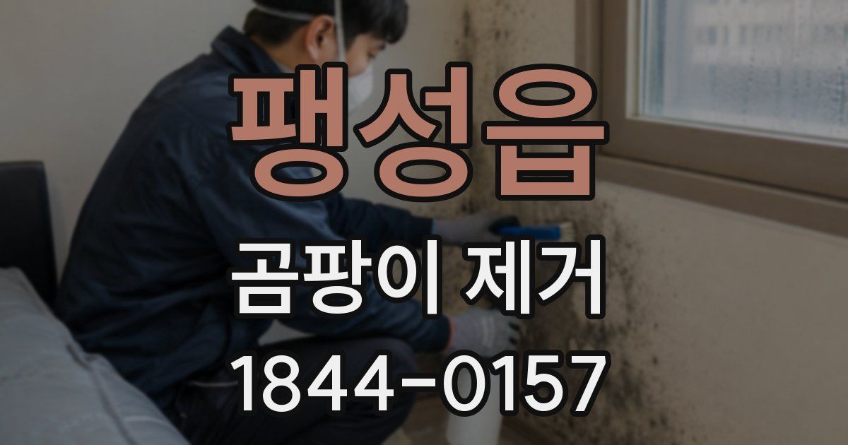팽성읍 곰팡이 제거