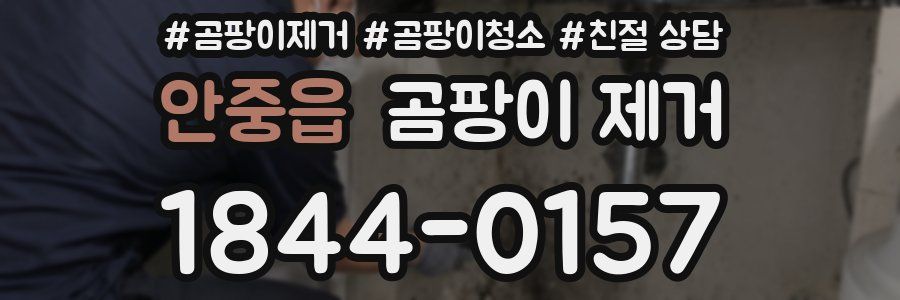 안중읍 곰팡이 제거