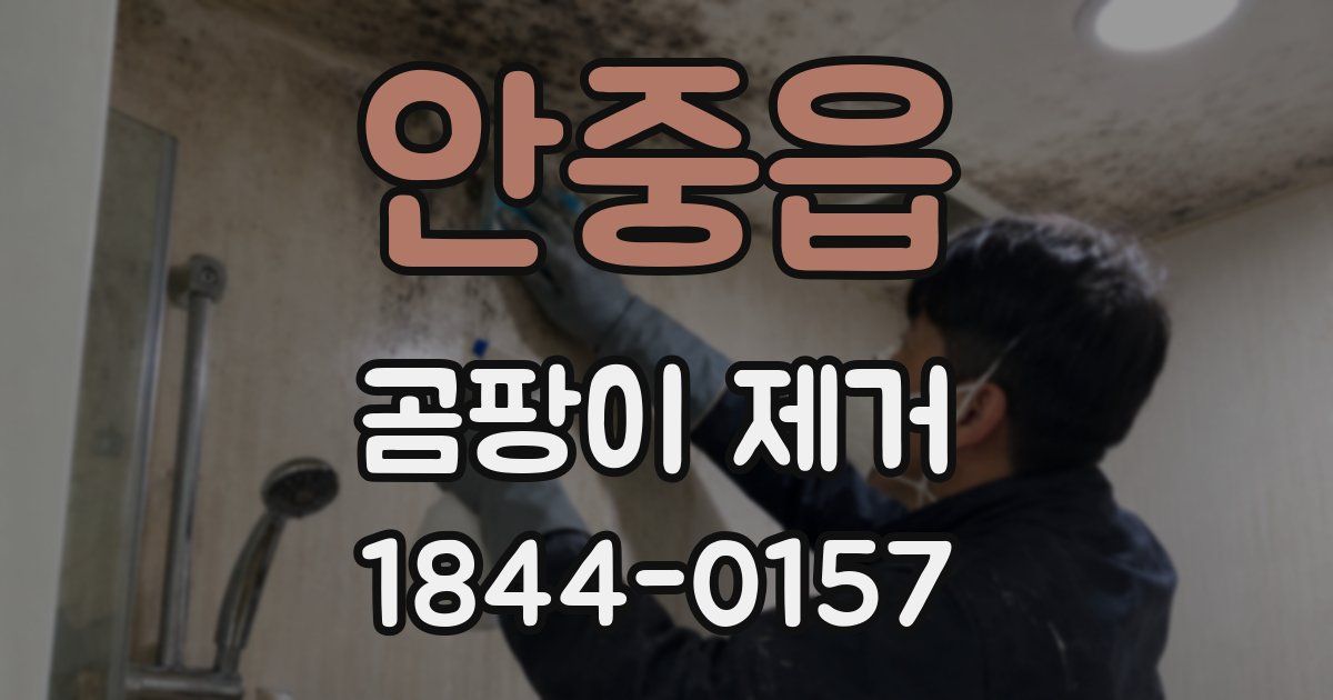 안중읍 곰팡이 제거