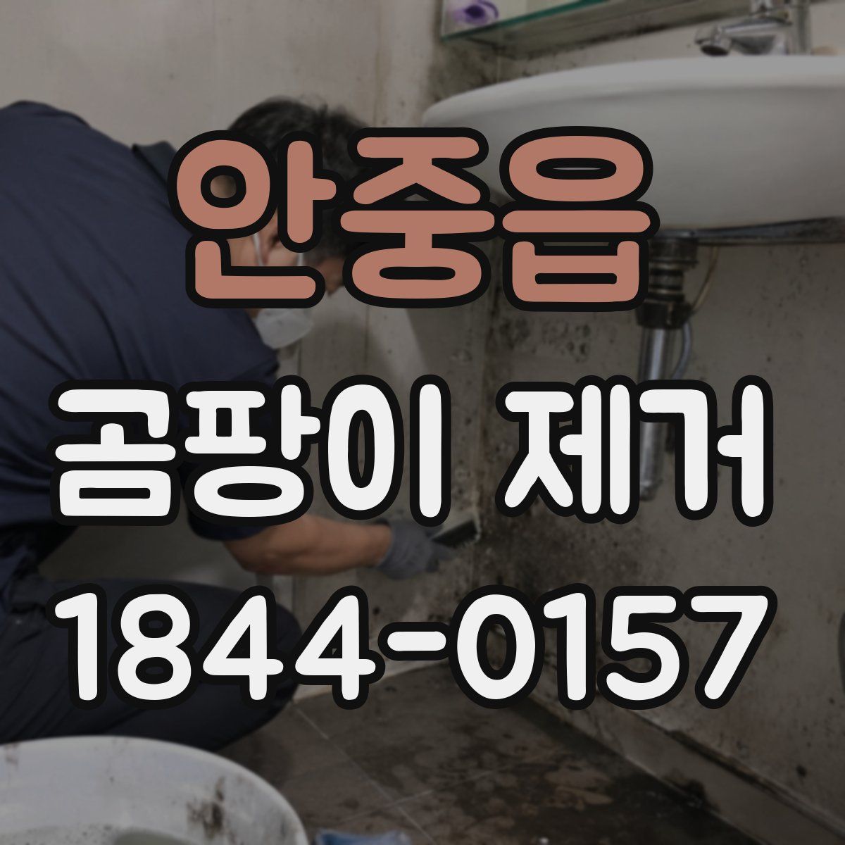 안중읍 곰팡이 제거