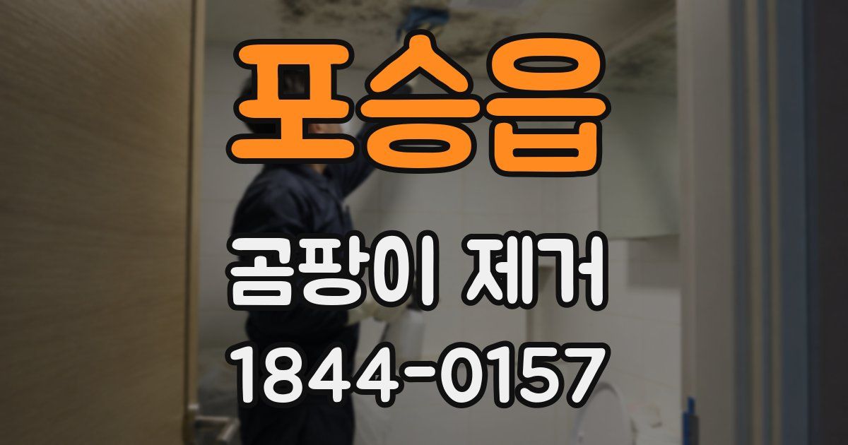 포승읍 곰팡이 제거
