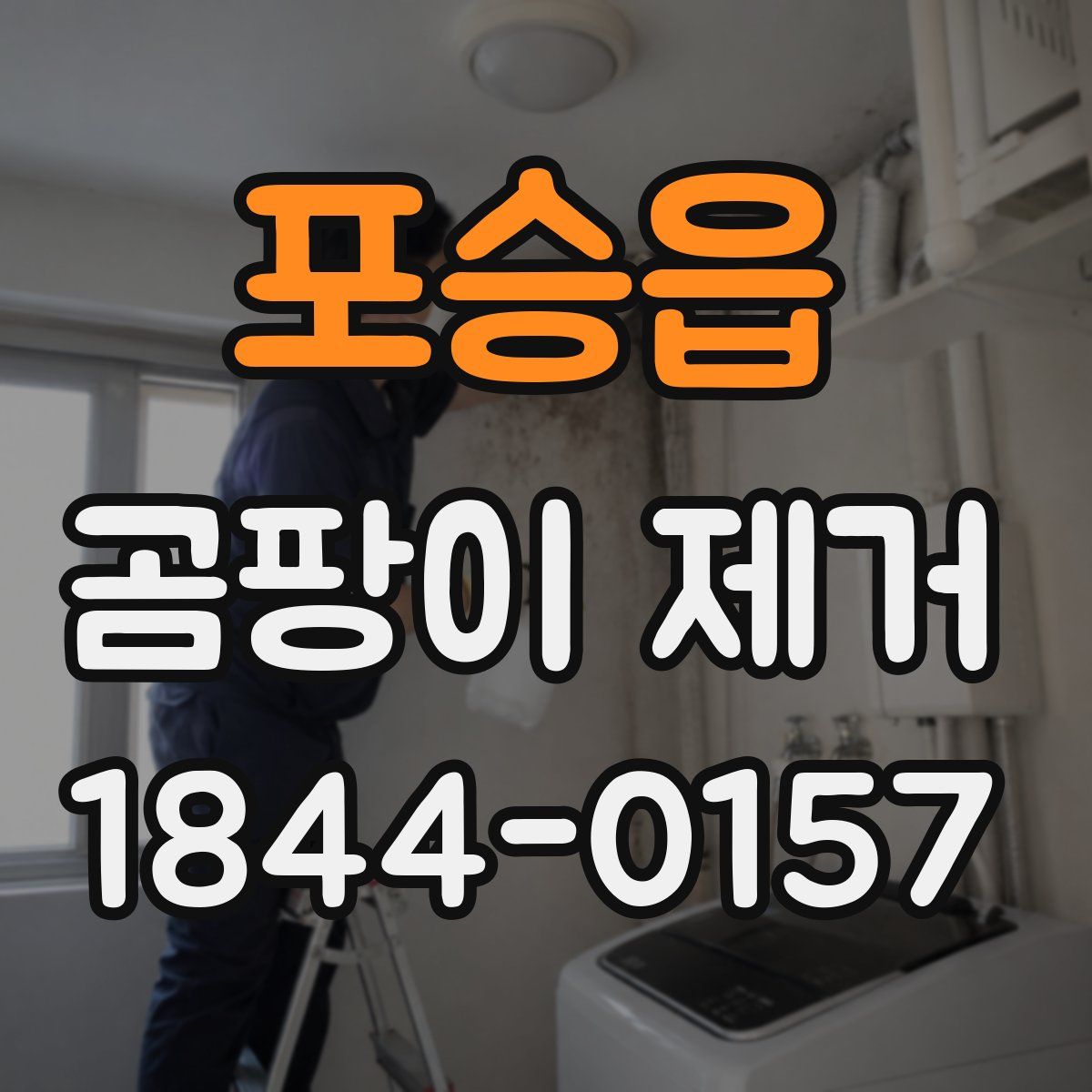 포승읍 곰팡이 제거