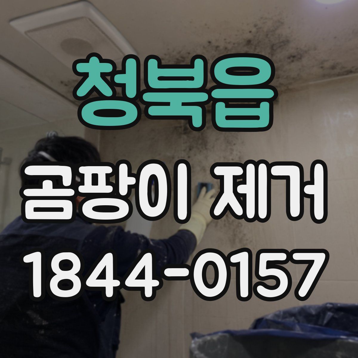 청북읍 곰팡이 제거