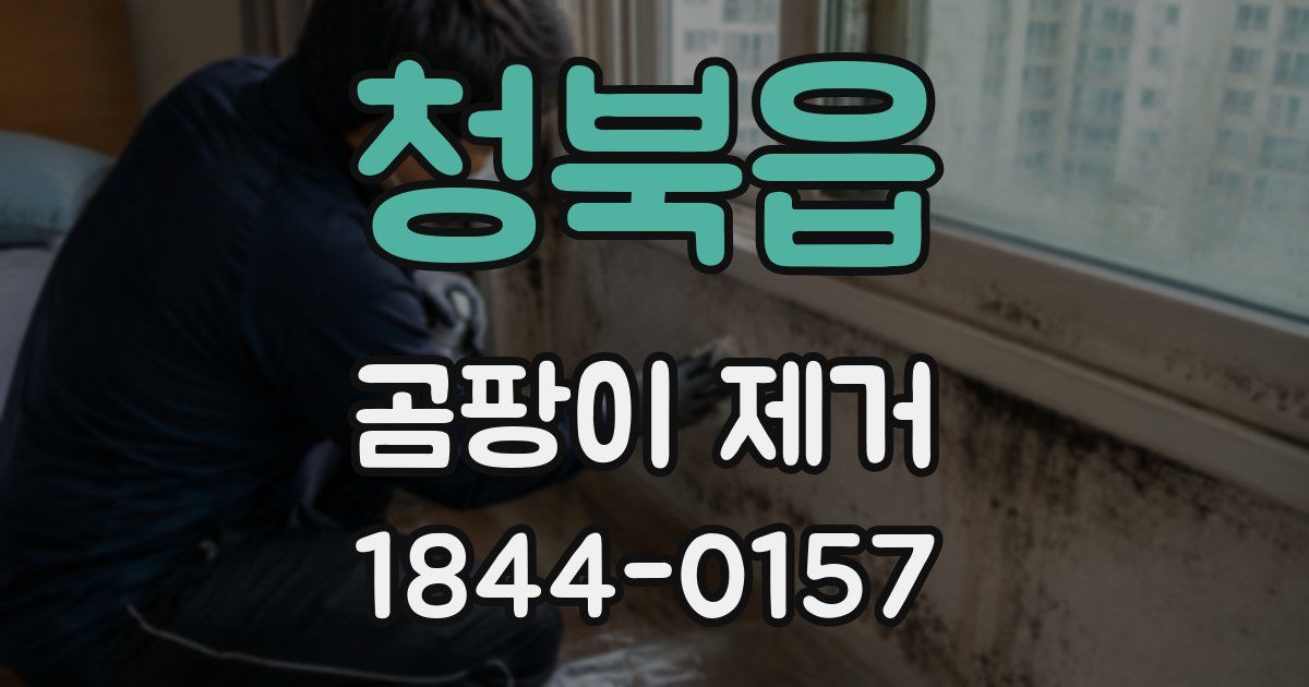 청북읍 곰팡이 제거