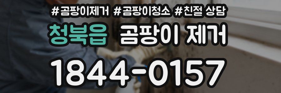 청북읍 곰팡이 제거