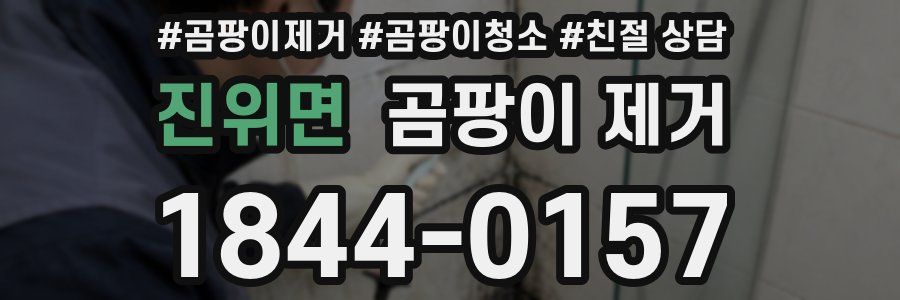 진위면 곰팡이 제거