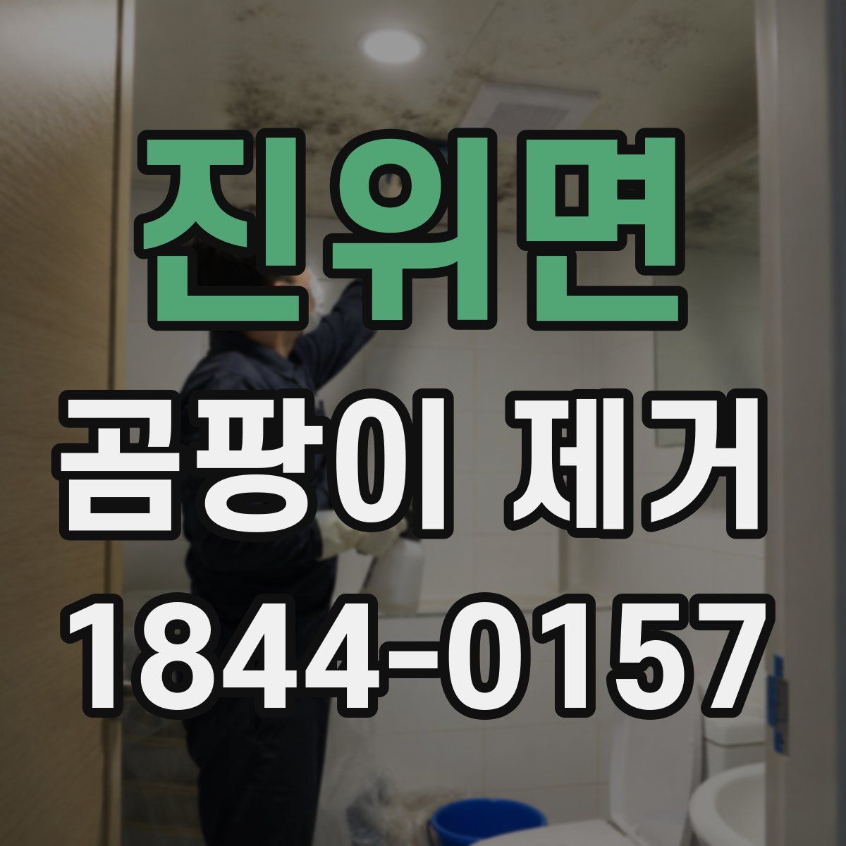 진위면 곰팡이 제거