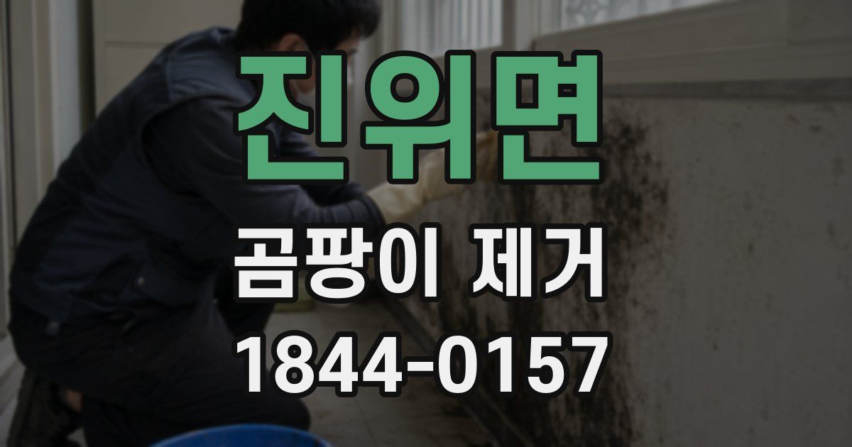 진위면 곰팡이 제거