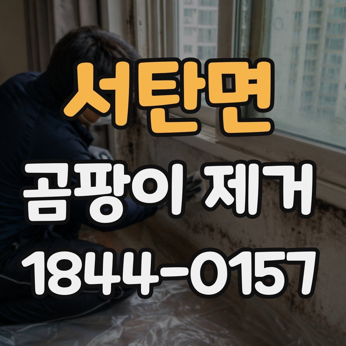 서탄면 곰팡이 제거 작업 범위는 어디까지일까