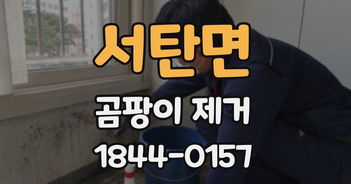 서탄면 곰팡이 제거