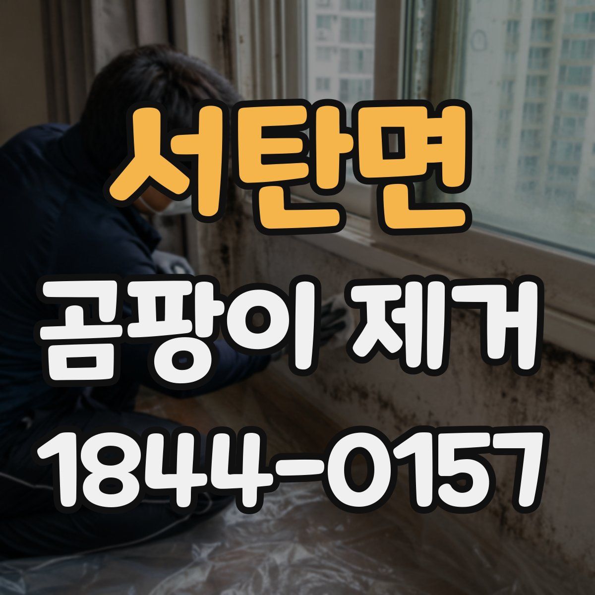 서탄면 곰팡이 제거