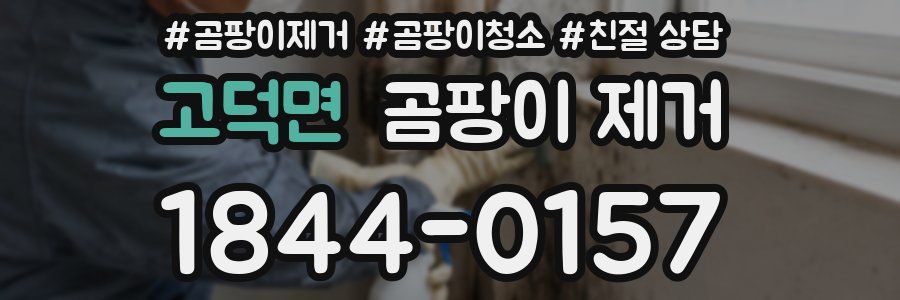 고덕면 곰팡이 제거