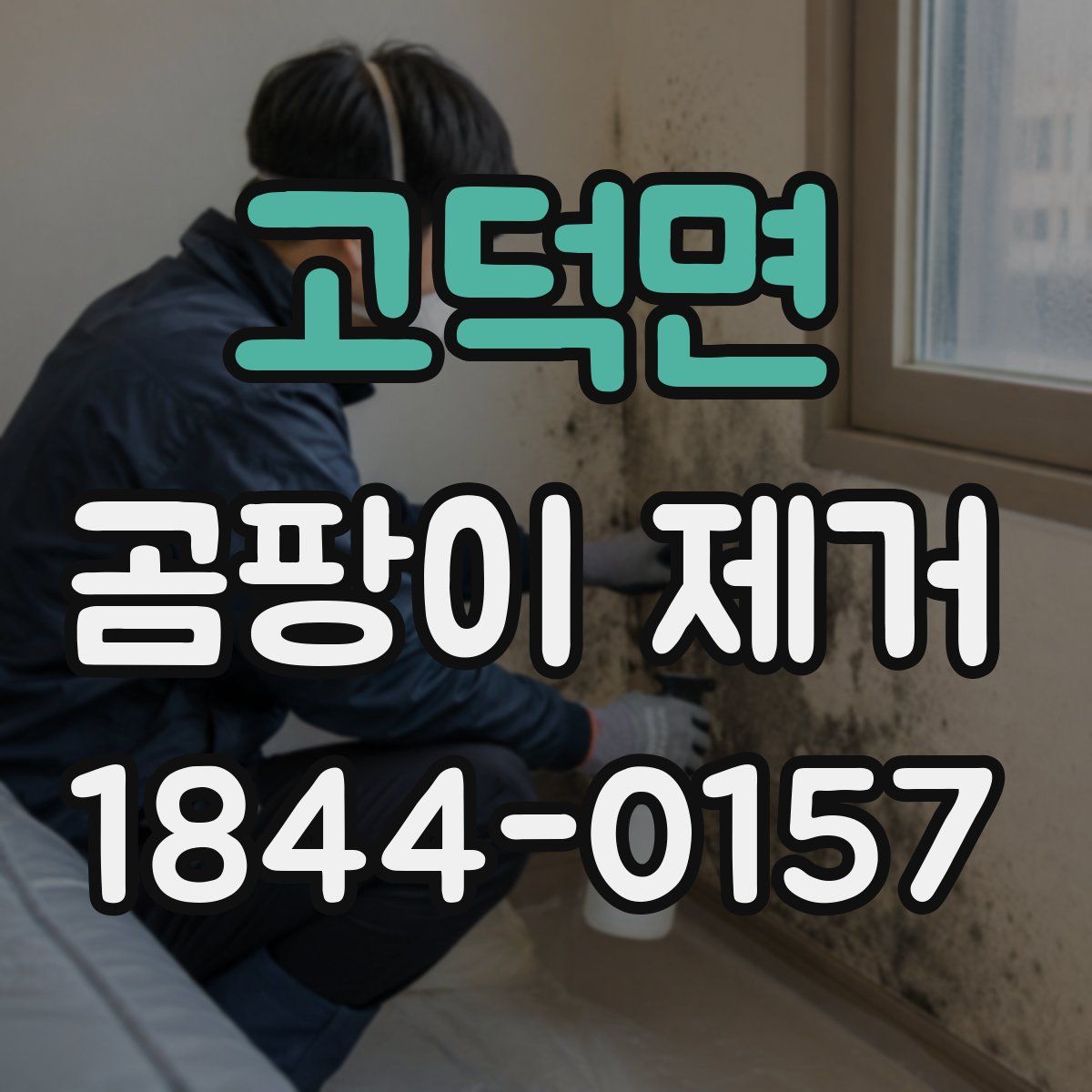 고덕면 곰팡이 제거