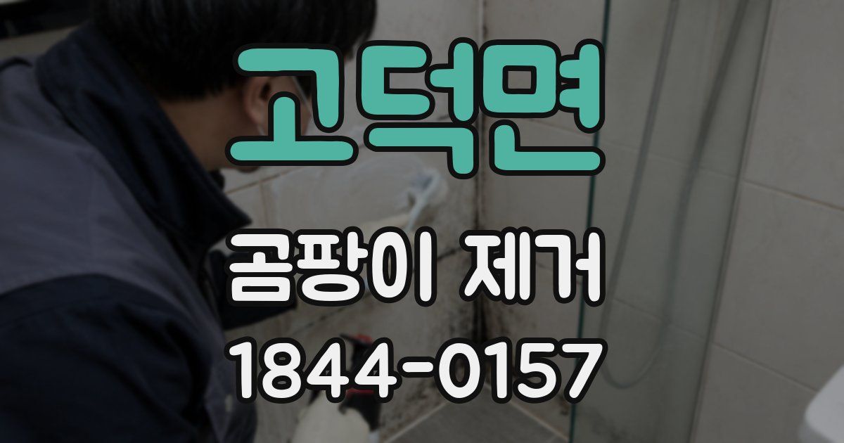 고덕면 곰팡이 제거