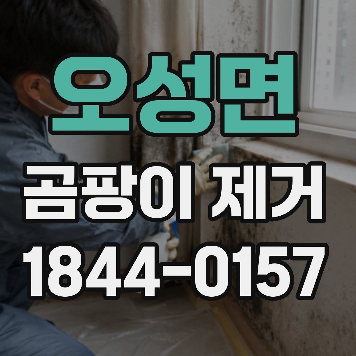 오성면 곰팡이 제거 원인별로 달라지는 대응 방법
