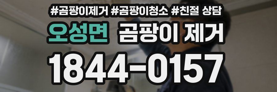 오성면 곰팡이 제거