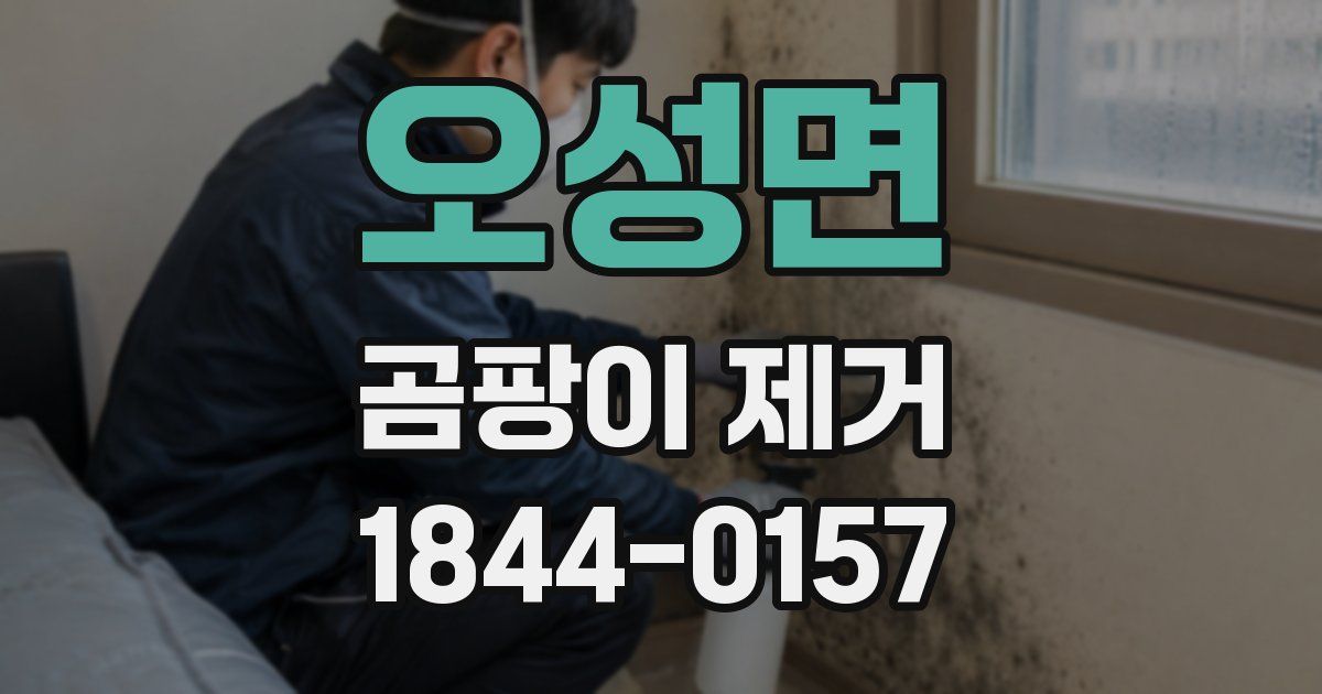 오성면 곰팡이 제거