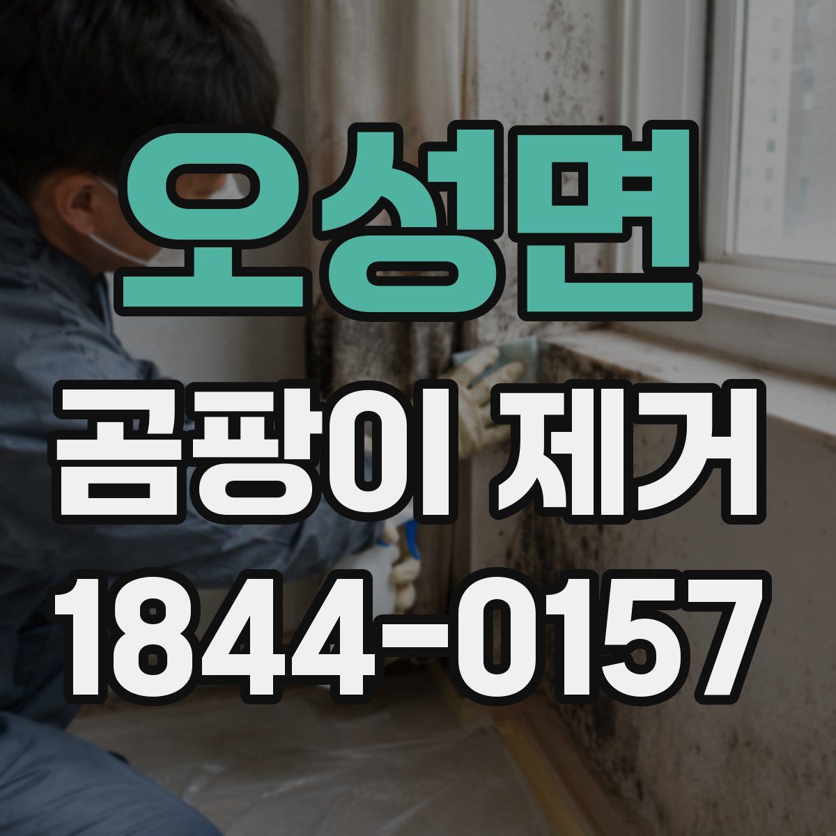 오성면 곰팡이 제거