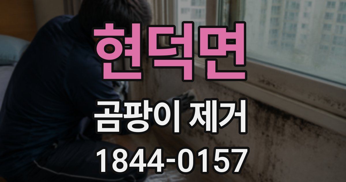 현덕면 곰팡이 제거