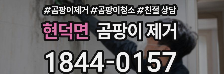 현덕면 곰팡이 제거