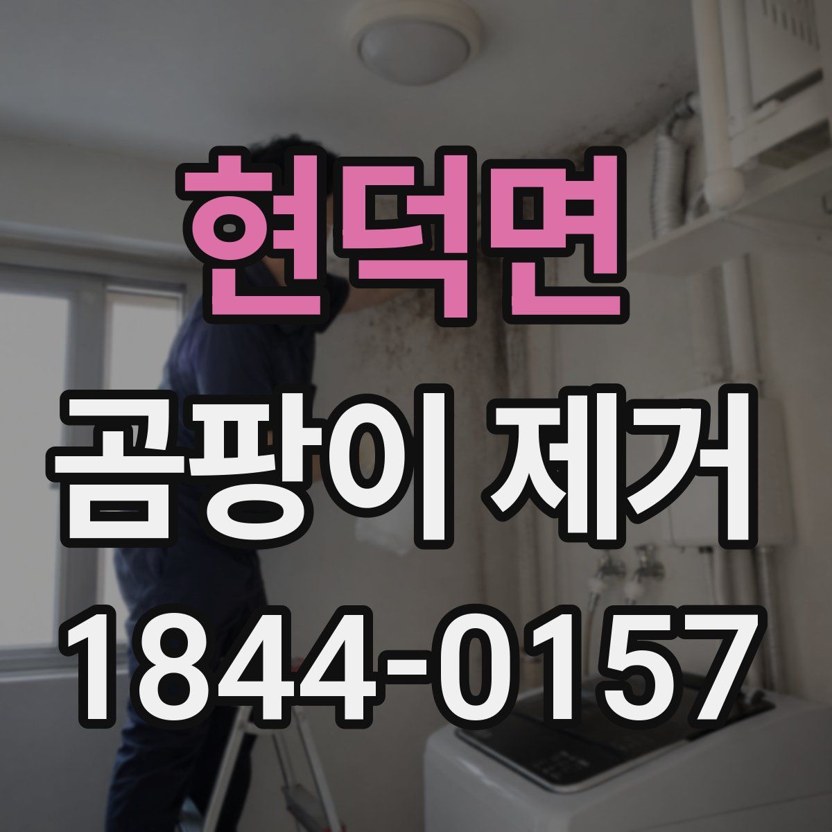 현덕면 곰팡이 제거