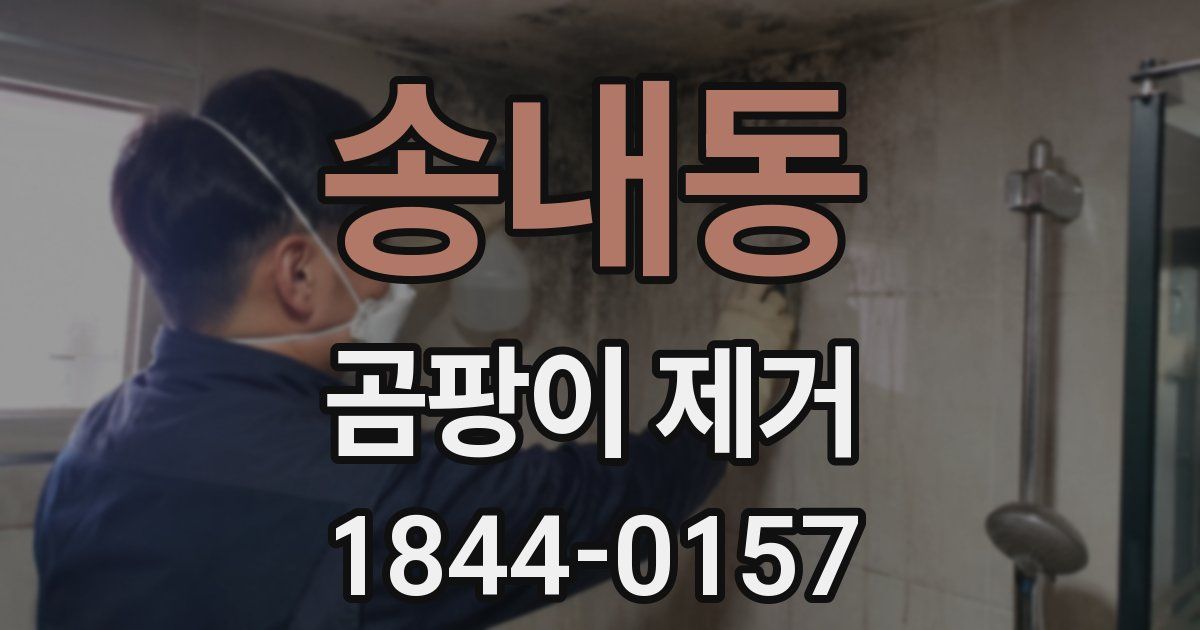 송내동 곰팡이 제거
