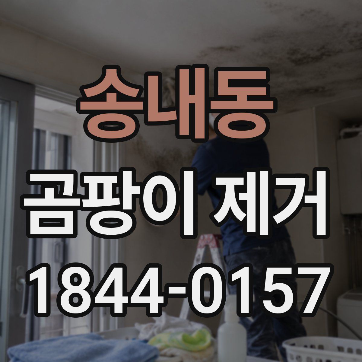 송내동 곰팡이 제거