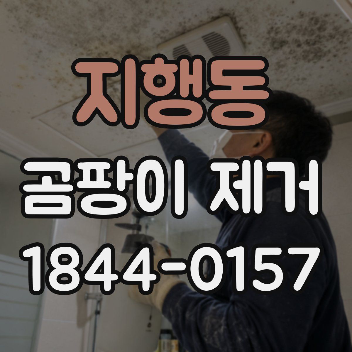 지행동 곰팡이 제거