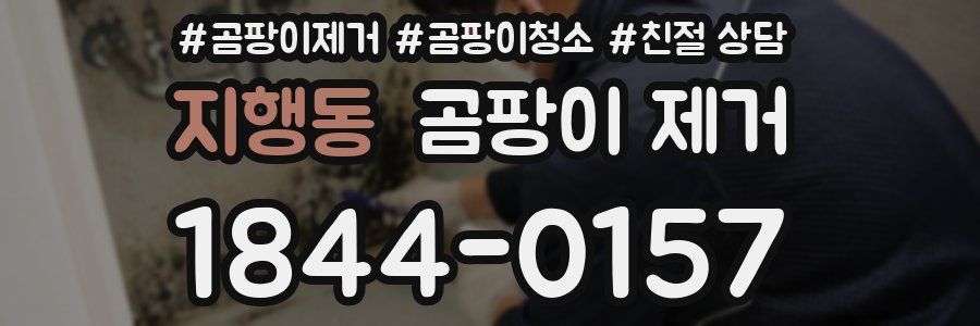 지행동 곰팡이 제거