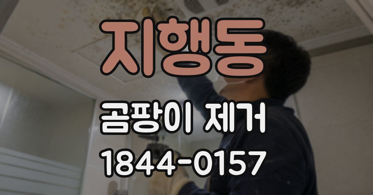 지행동 곰팡이 제거
