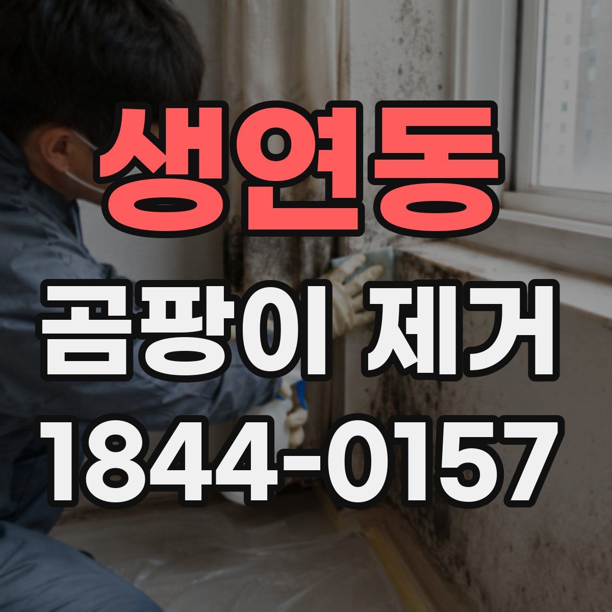 생연동 곰팡이 제거