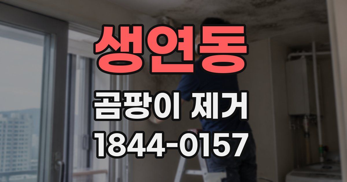 생연동 곰팡이 제거