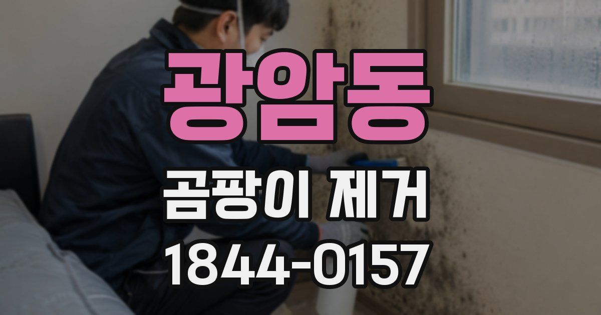 광암동 곰팡이 제거