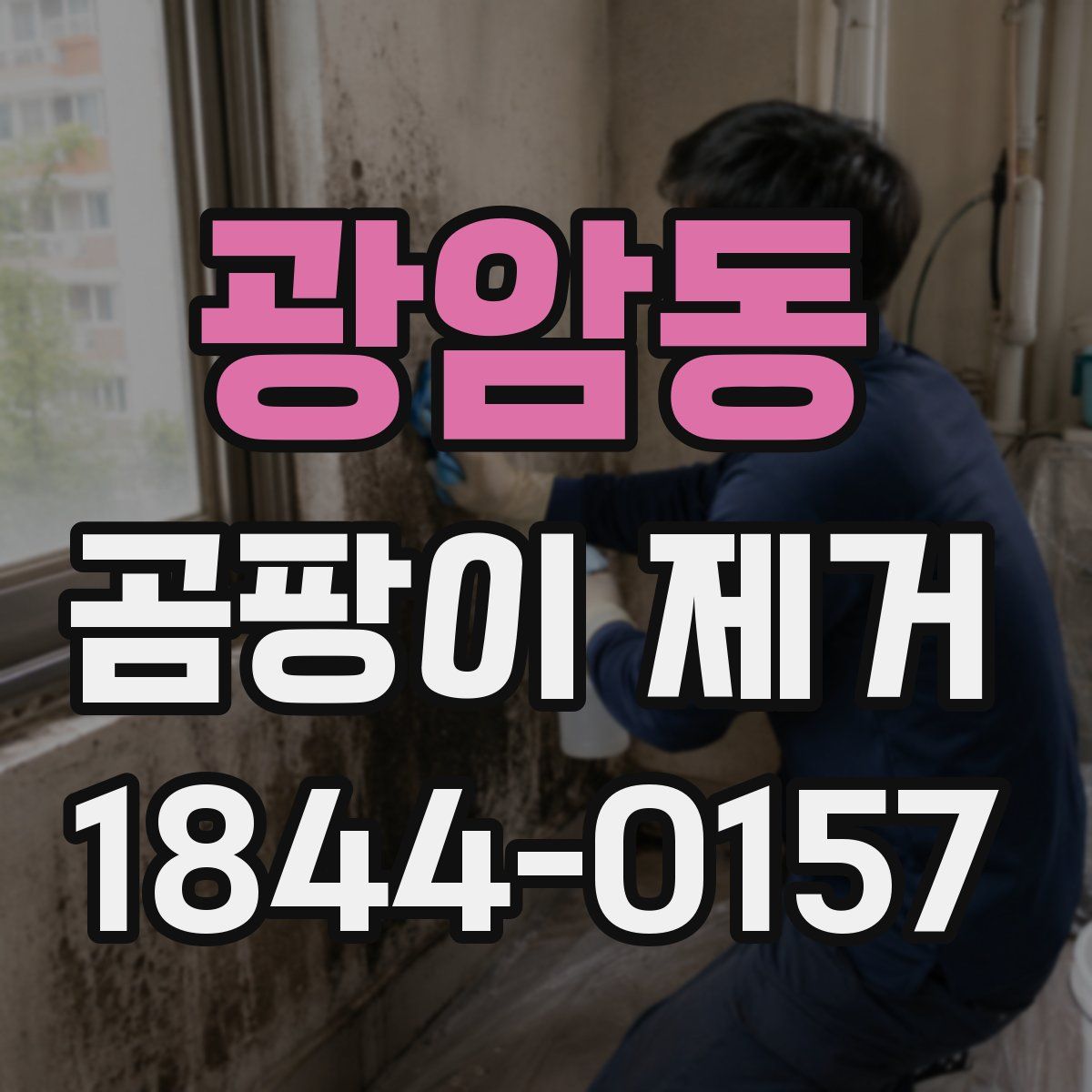광암동 곰팡이 제거