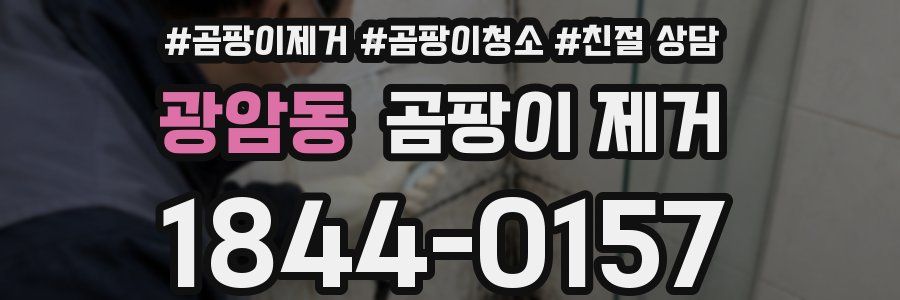 광암동 곰팡이 제거
