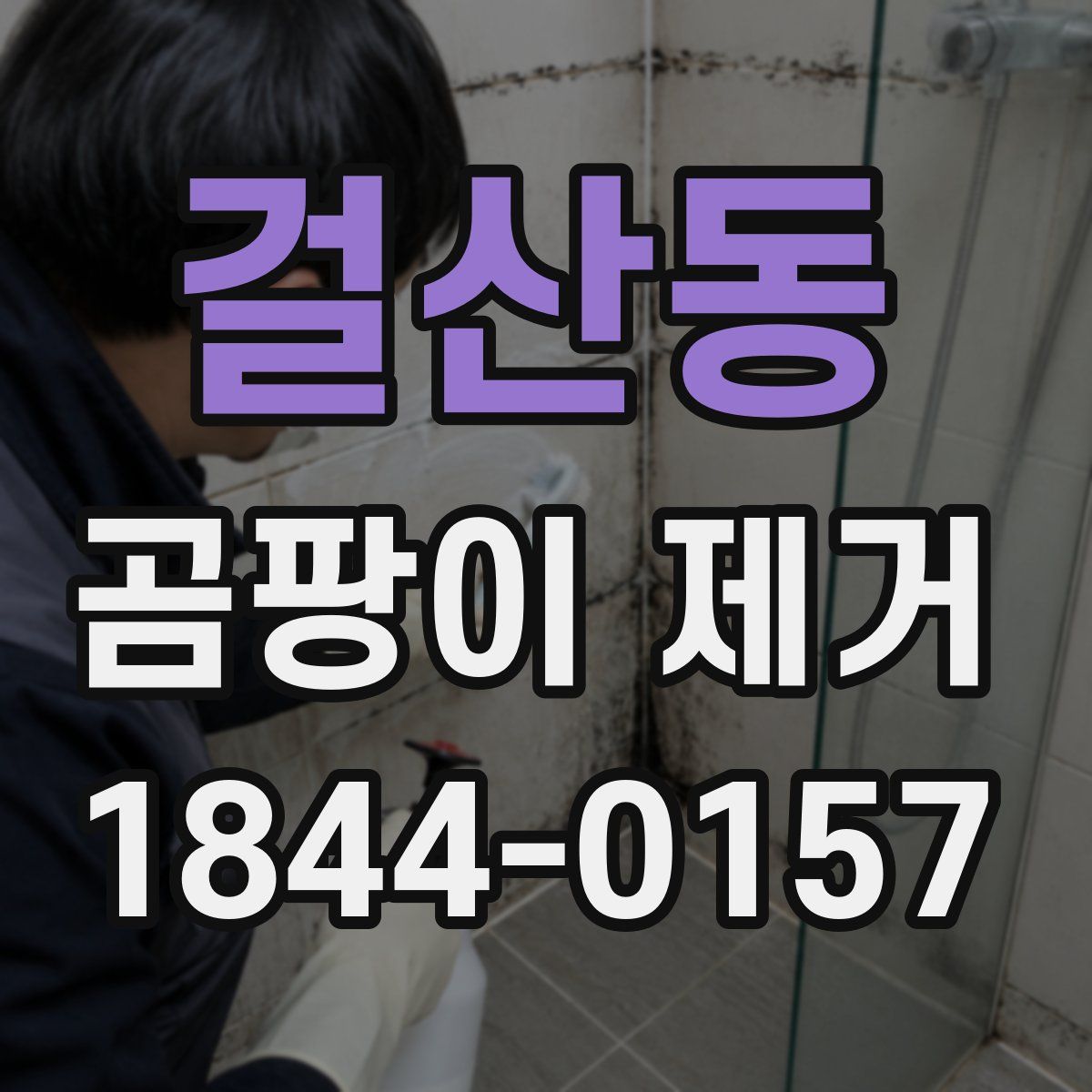 걸산동 곰팡이 제거