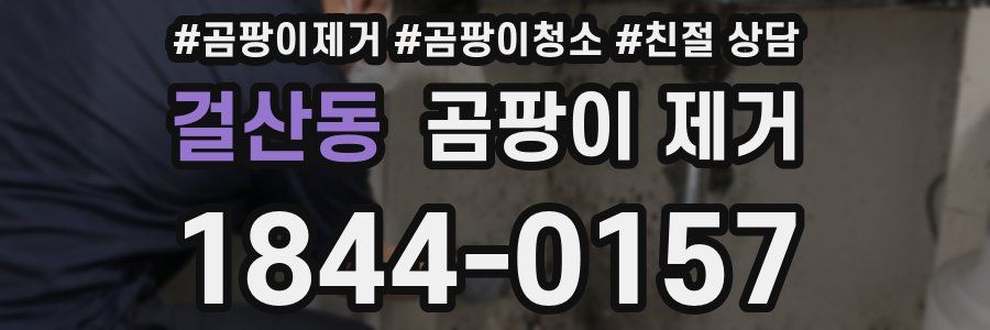 걸산동 곰팡이 제거