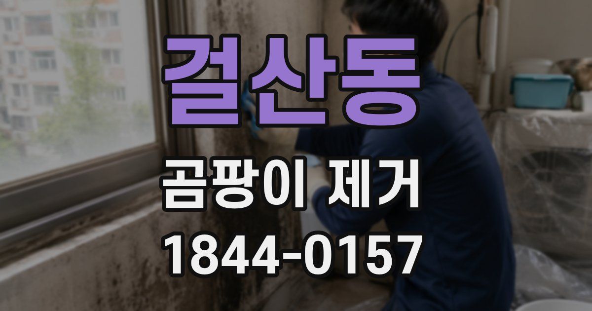 걸산동 곰팡이 제거