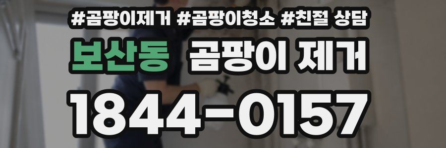 보산동 곰팡이 제거