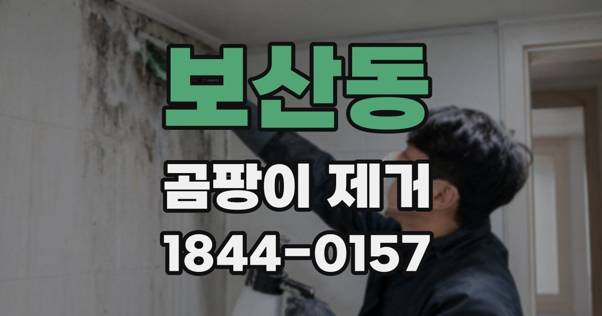 보산동 곰팡이 제거
