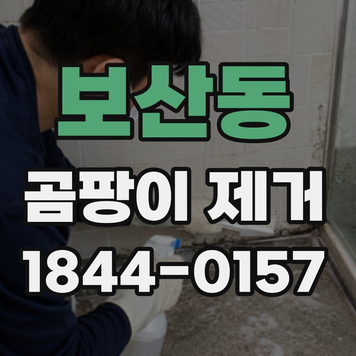 보산동 곰팡이 제거