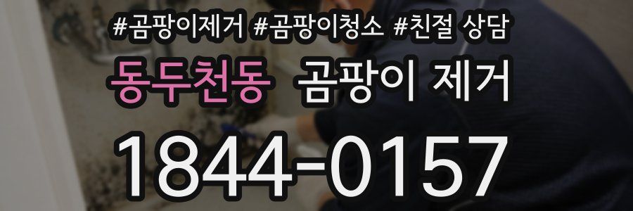 동두천동 곰팡이 제거