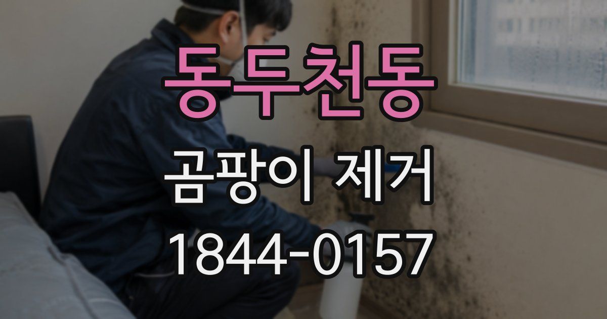 동두천동 곰팡이 제거