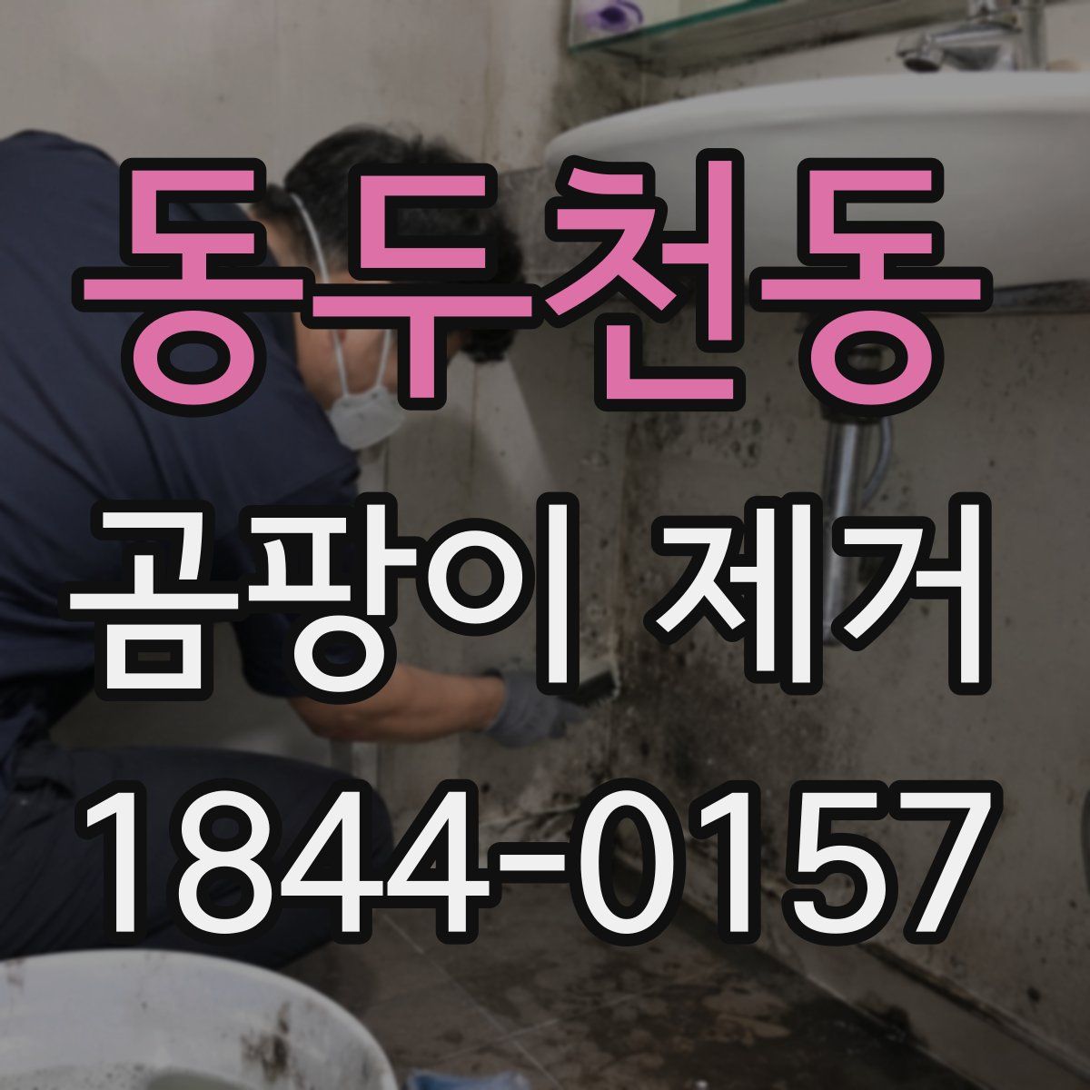 동두천동 곰팡이 제거