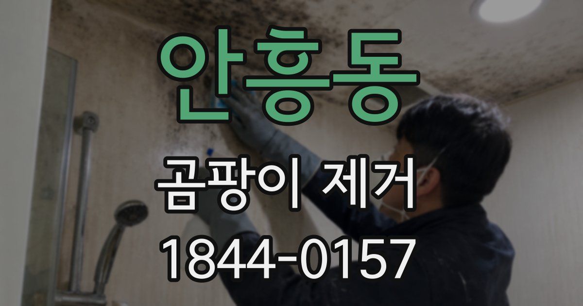 안흥동 곰팡이 제거