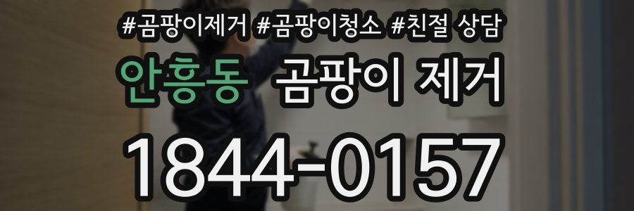 안흥동 곰팡이 제거