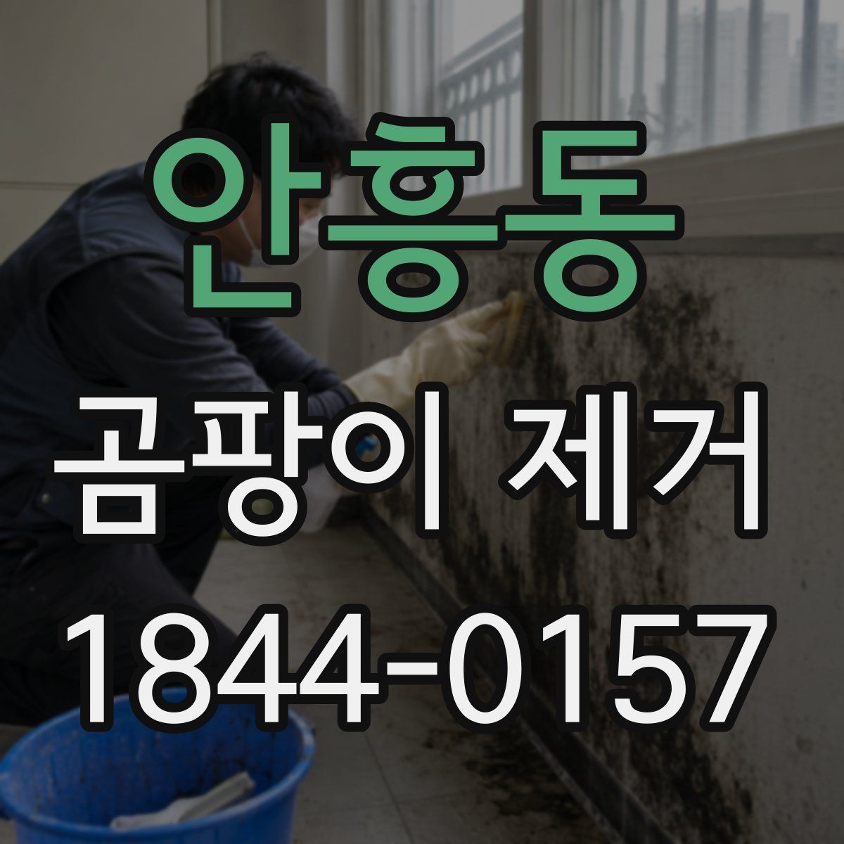 안흥동 곰팡이 제거
