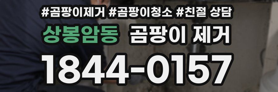상봉암동 곰팡이 제거