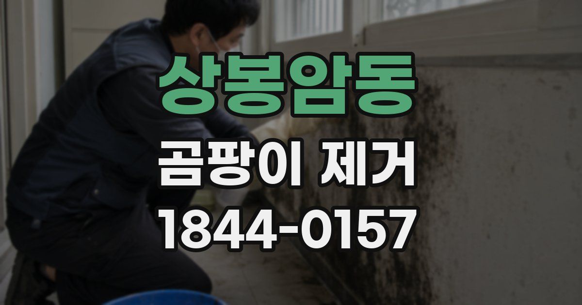 상봉암동 곰팡이 제거