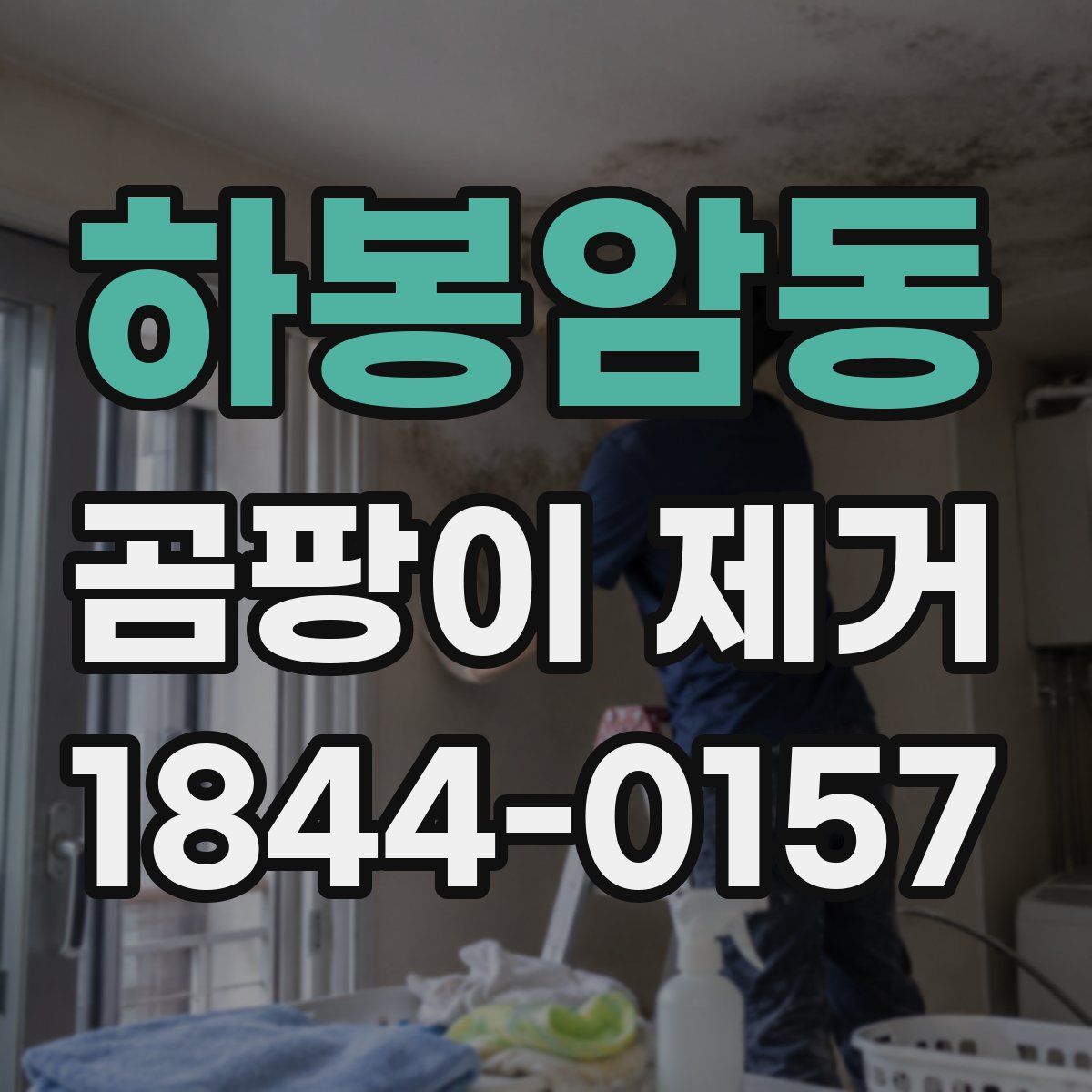 하봉암동 곰팡이 제거